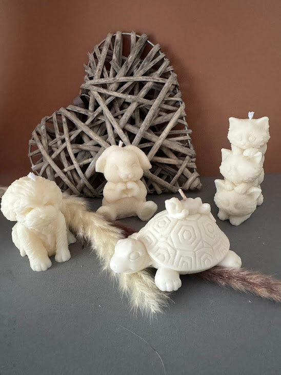 Coffret Les compagnons de lumière