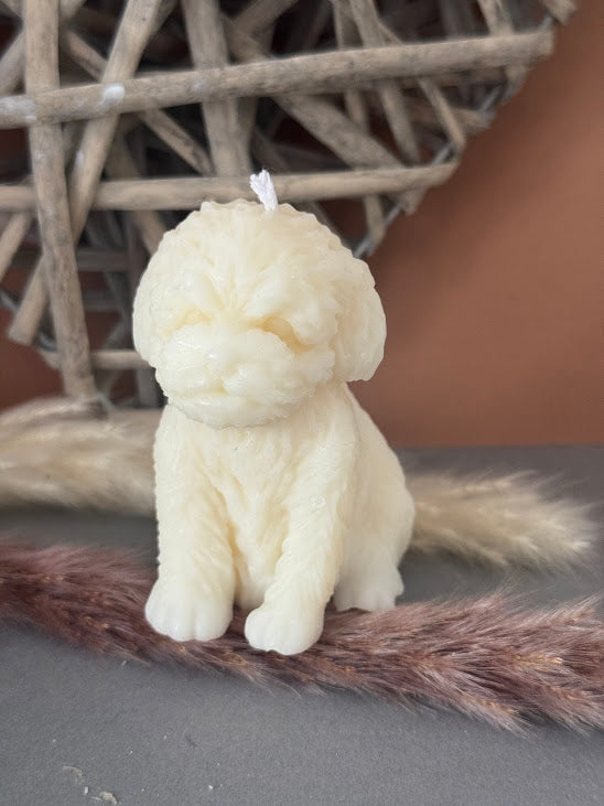Bougie  Mon chien tout doux
